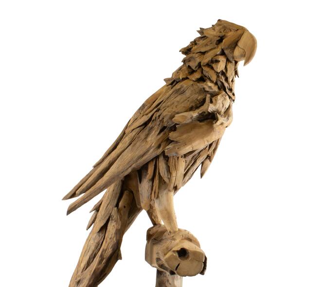 Papagei aus verwittertem Holz – 55 x 68 x 230 cm
