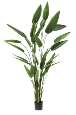 Heliconia Kunstplant L