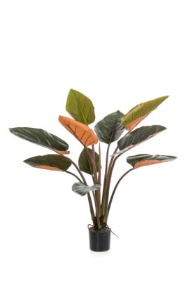 Kunstplant Philodendron